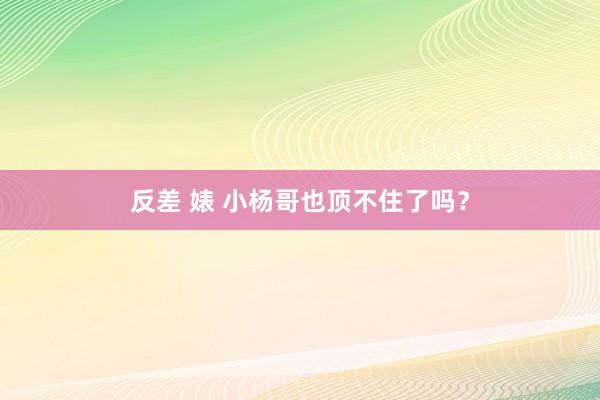 反差 婊 小杨哥也顶不住了吗？