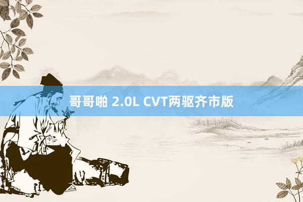 哥哥啪 2.0L CVT两驱齐市版