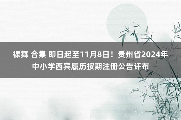 裸舞 合集 即日起至11月8日！贵州省2024年中小学西宾履历按期注册公告讦布