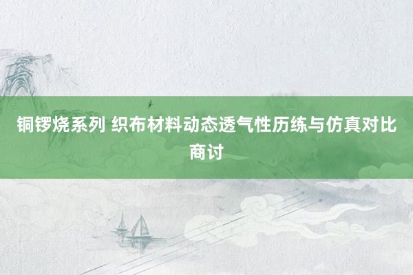 铜锣烧系列 织布材料动态透气性历练与仿真对比商讨